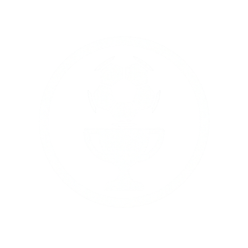 世界杯官网 Logo